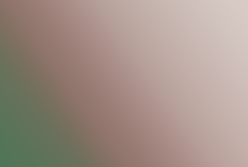 L'hôpital universitaire francophone de l'Ontario